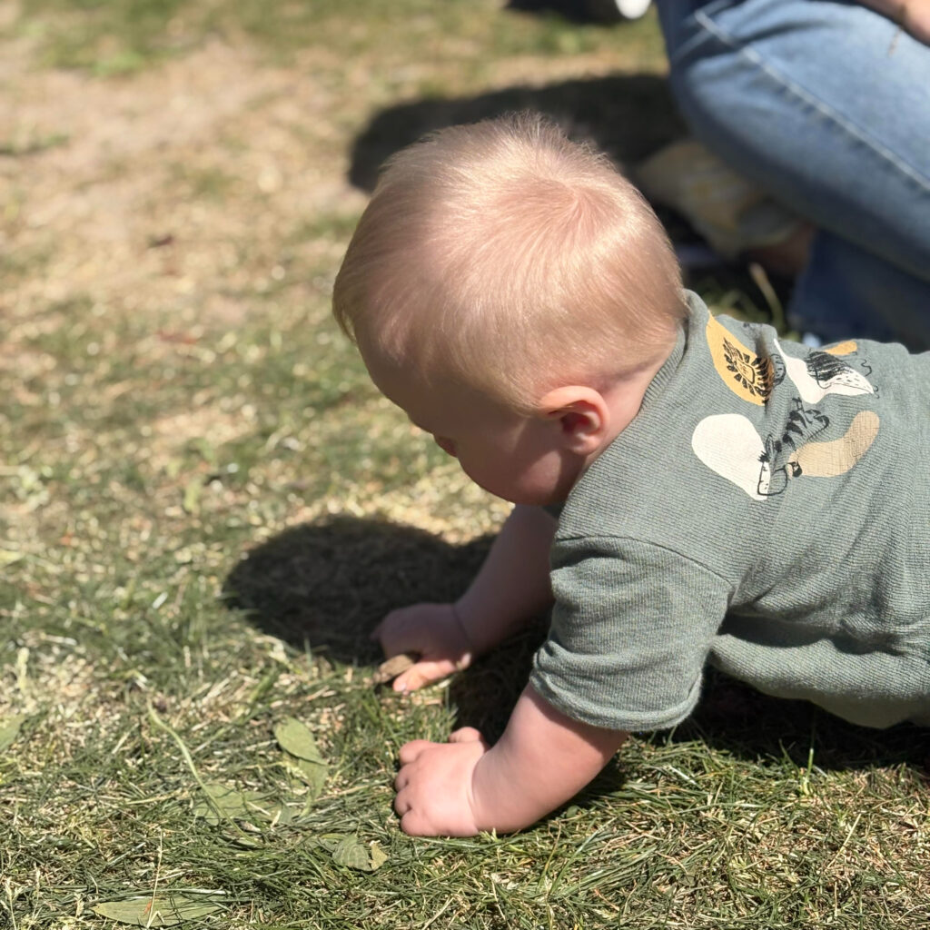 gras